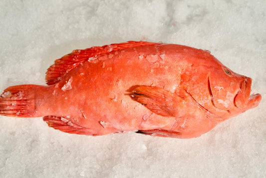 VYEY ROUZ WHOLE (Red Grouper)