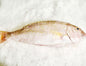 KALKAL FILLET (Goldbanded Jobfish)